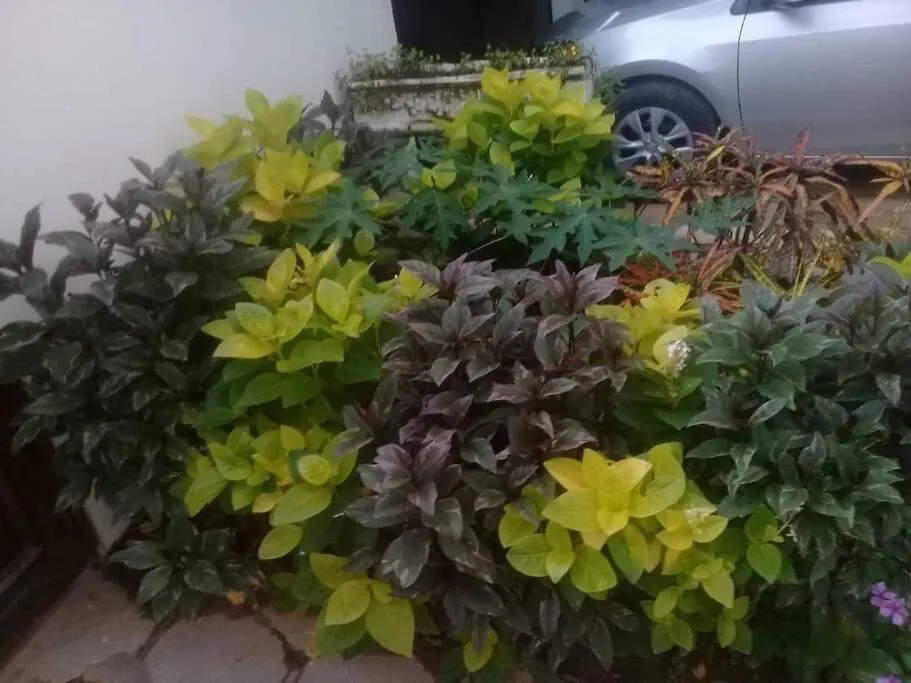 Apartmán Superbe Appartement Cosy Acces+ Mer 5' Dakar